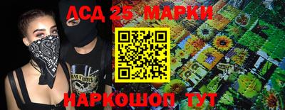 мдпв Донской
