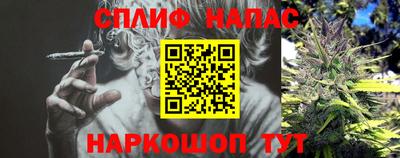 мдпв Донской