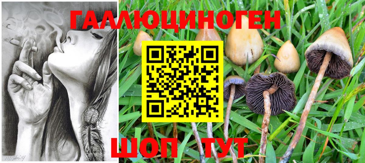 Обнинск  Псилоцибиновые грибы GOLDEN TEACHER  купить наркотик  Вход с VPN 